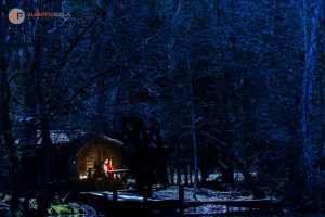 preboda-bosques-finlandia-alberto-de-la-fuente