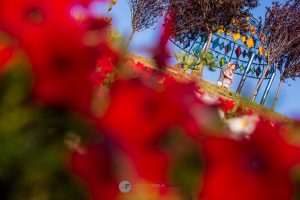 fotos parque europa, torrejón, alberto de la fuente, fotógrafo de bodas