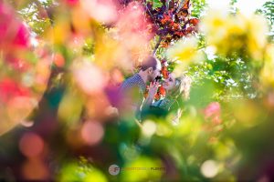 fotos parque europa, torrejón, alberto de la fuente, fotógrafo de bodas