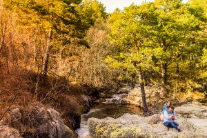 preboda sierra de madrid