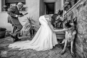 fotografos de bodas arroyomolinos